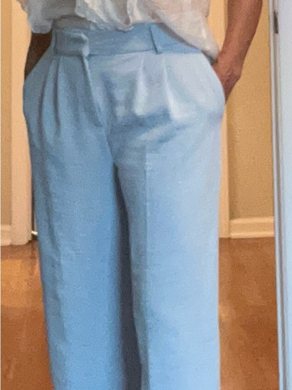 Rachel Zoe Sky Blue High-Rise Pleated Wide-Leg Pants
